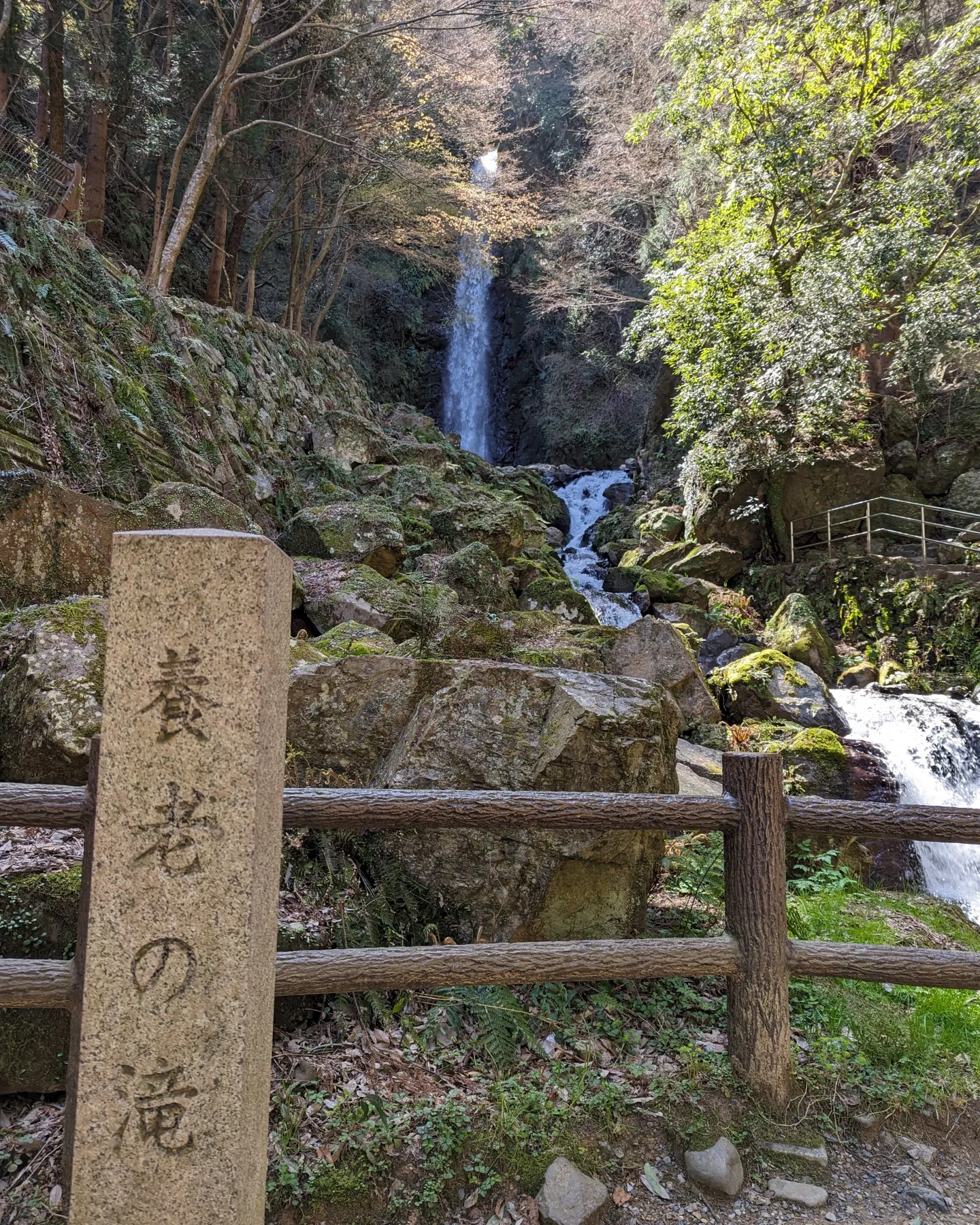 ショートトリップ