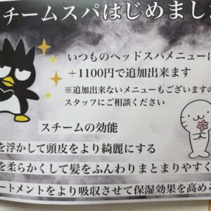 スチームスパ始めました！